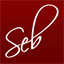 sebastianthomson.co.uk