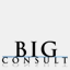 big-consult.com