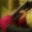 myunleashing.wordpress.com