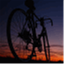 wheelden.com