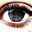 lectobloc.wordpress.com