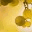 domainemeriwether.wordpress.com