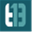 t13infotech.com