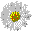 heilpraxis-lorenz.de