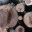 logicfreezone.wordpress.com