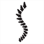 sfspine.com