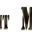 fankitmodels.com
