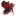 wtfevents.org