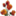 florweb.de