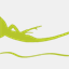 triatlobasiliscus.com