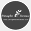 principlesofincrease.com
