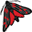 tinymoth.co.uk