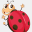 littlebugsdc.com