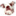 joedog.org