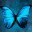 morphobblue.wordpress.com