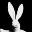 bunny-funk.de