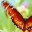 nebiolabs.wordpress.com
