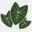 epicohana.net