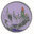 charmingprague.com