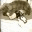 melorize.wordpress.com