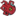 squidshaped.com