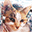 munchkat.com