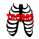 thoraxsport.com