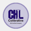 chilternacademy.net