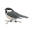 chickadeewebdesign.com