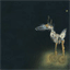 skyprison.bandcamp.com