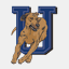 uoitridgebacks.com