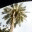 bonsplansbarcelone.wordpress.com