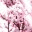 flawlessdream.wordpress.com