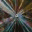 studio464.wordpress.com