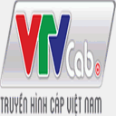 truyenhinhvietnam.com.vn