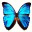fireflydove.wordpress.com