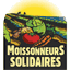 monkeyvalleyinc.com