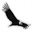 choquequirau.com
