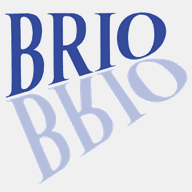 brio-spiegel.de