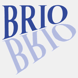 brio-spiegel.de