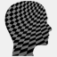thechessschool.net