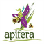 apifera-81.over-blog.com