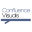 confluencevisuals.com