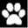 parismydog.com