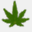 cannabis.com.ar