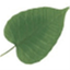 shantideva.me
