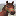 shetystables.com