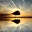 openmindsproject.wordpress.com