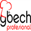 gbech.com