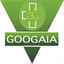 googaia.com